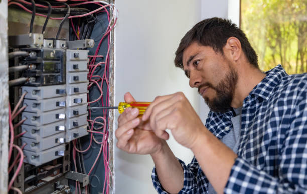 Best Electric Panel Repair  in Sour Lake, TX